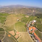 Driver with Private Vehicle in the Douro Valley - FAQ