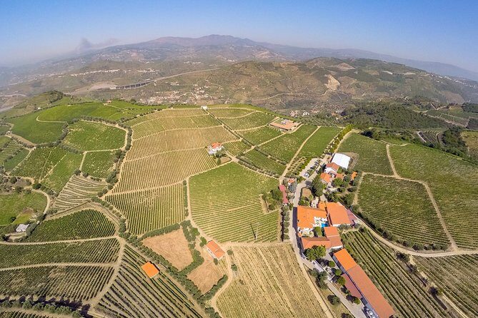 Driver with Private Vehicle in the Douro Valley - FAQ