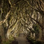 Dublin: Giant's Causeway, Dark Hedges & Titanic Guided Tour - Final Thoughts: Who Will Love This Tour?