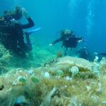Dubrovnik: 1-Day Discover Scuba Diving Course - The Experience and Reviews in Depth
