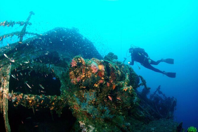 Dubrovnik 1 Dive for Certified Divers - Wrapping Up