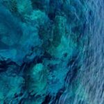 Dubrovnik: Blue Cave Tour by Speedboat - Who Is This Tour Best For?