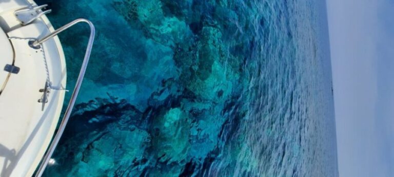 Dubrovnik: Blue Cave Tour by Speedboat - Who Is This Tour Best For?