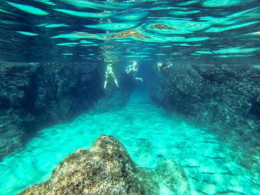 Dubrovnik: Elaphiti Islands Caves Snorkeling & Swimming Tour - Whats Included & What to Bring