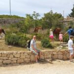 Dubrovnik: Game of Thrones Locations Driving Tour - FAQs