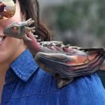 Dubrovnik: Game of Thrones Tour with visit to Lokrum Island - Authentic Experiences That Matter