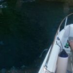 Dubrovnik: Half-Day Private Boat Trip to Elafiti Islands - Who Is This Tour Best For?