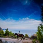 Dubrovnik Kojan Koral: Horseback Riding - What to Expect on the Trail