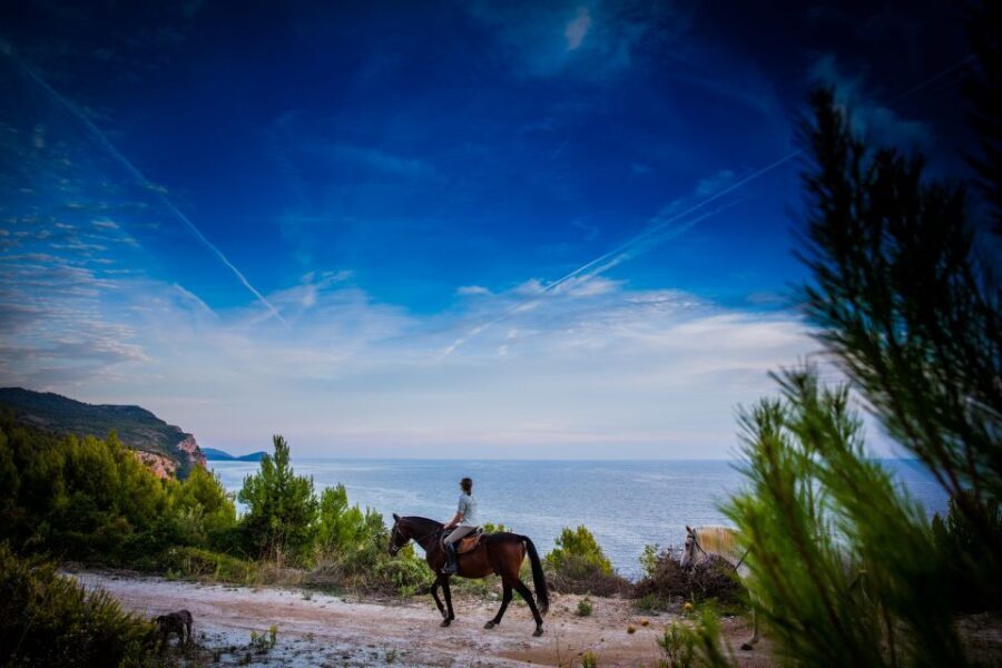 Dubrovnik Kojan Koral: Horseback Riding - What to Expect on the Trail