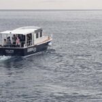 Dubrovnik: Old Town and Lokrum Island Panoramic Cruise - Who Would Love This?