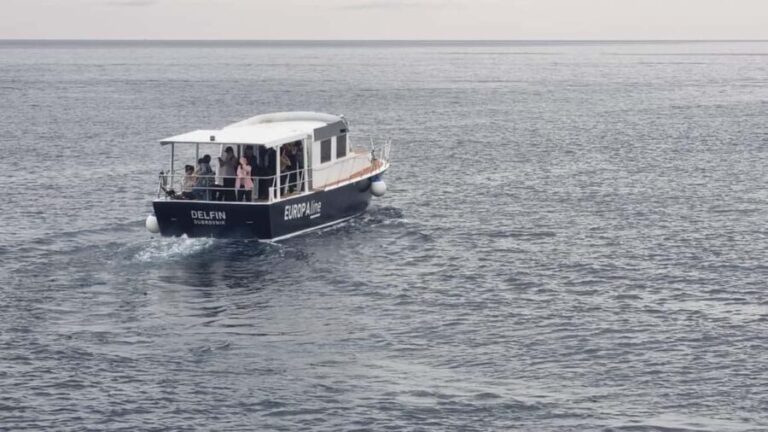 Dubrovnik: Old Town and Lokrum Island Panoramic Cruise - Who Would Love This?