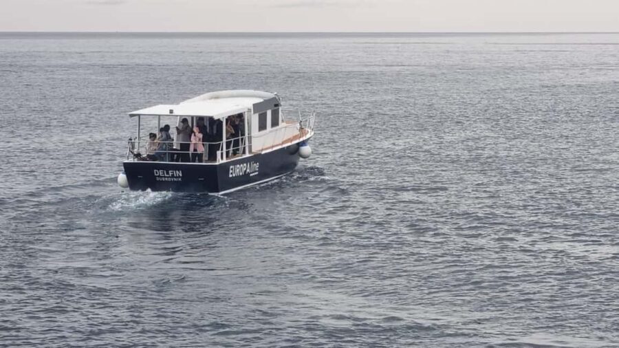 Dubrovnik: Old Town and Lokrum Island Panoramic Cruise - Who Would Love This?