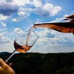 Dubrovnik Private Panorama & Wine Tasting Tour - Scenic Stops and What to Expect