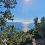 Dubrovnik Private Wine Tasting Tour To Peljesac - Final Thoughts: Why This Tour Offers Genuine Value