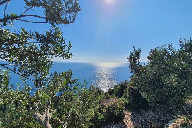 Dubrovnik Private Wine Tasting Tour To Peljesac - Final Thoughts: Why This Tour Offers Genuine Value