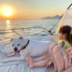 Dubrovnik: Romantic Sunset Cruise - Key Points