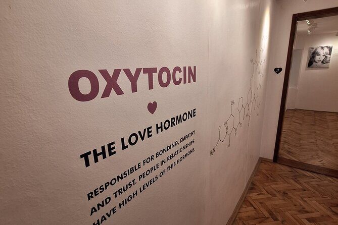 Dubrovnik Romantic Walking Tour for Couples with Love Museum - Why This Tour Offers Great Value