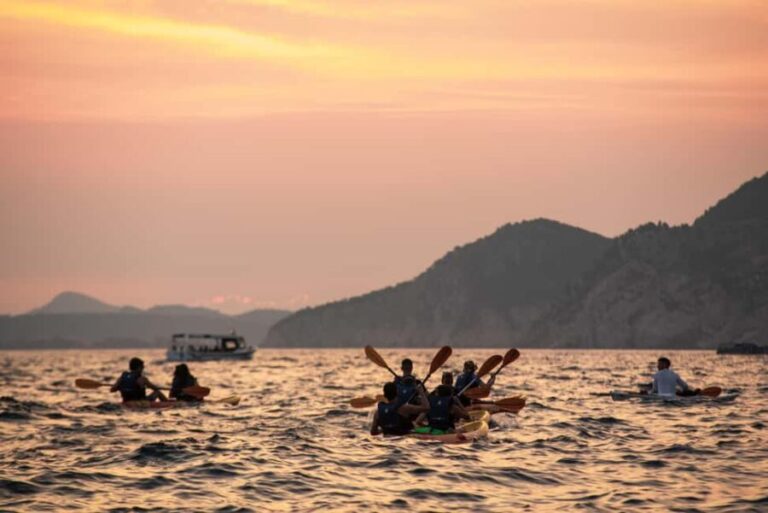 Dubrovnik: Sunset Kayaking and Snorkeling Tour - Who Will Love This Tour?