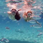 Dugi Otok Island Discovery Day Tour from Zadar - The Itinerary Breakdown and Highlights