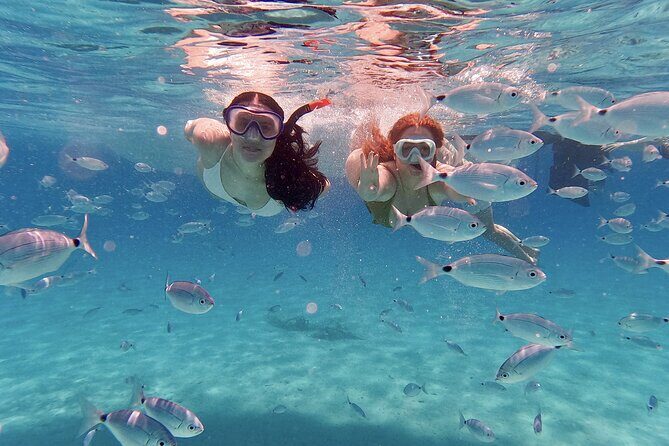 Dugi Otok Island Discovery Day Tour from Zadar - The Itinerary Breakdown and Highlights