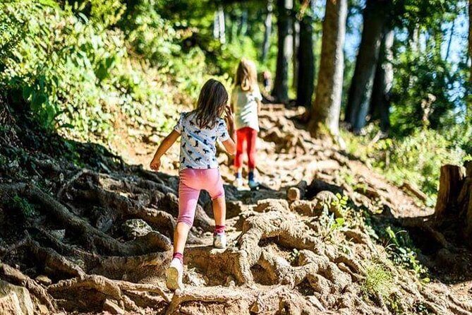 Durmitor National Park hiking tour - easy to moderate - Introduction to the Experience