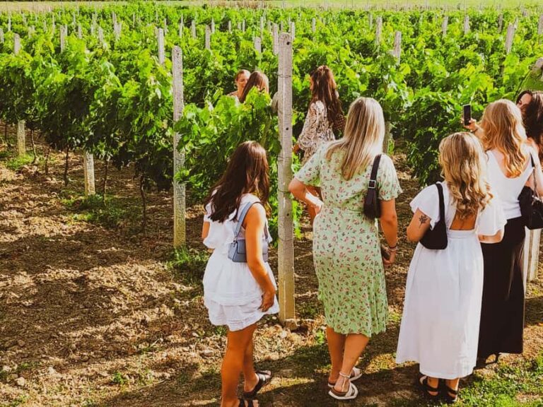 Durres Countryside Vineyards Wine Tasting & Food Pairing - What You Should Know Before Booking