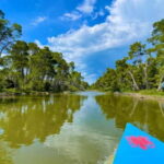 Durres & Karavasta National Park Tour on Luxury Land Rover - The Natural Wonder of Karavasta Lagoon