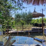 Durres: Where History Meets Wine - Wine Country: A Picture-Perfect Retreat