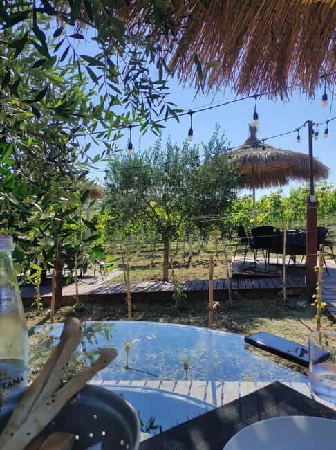 Durres: Where History Meets Wine - Wine Country: A Picture-Perfect Retreat