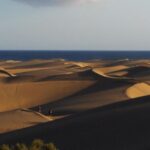 E-Bike City Tour included Camel Tour inside Maspalomas Dunes - Authentic Insights From Reviewers