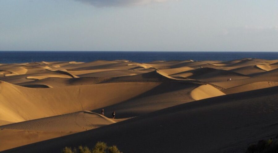 E-Bike City Tour included Camel Tour inside Maspalomas Dunes - Authentic Insights From Reviewers