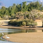 E-Bike CitySightseeing: Maspalomas, Playa Ingles, Meloneras - The Sum Up