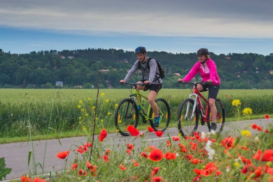E-Bike Day Trip: Visit a Roman Castle and Taste Craft Beer - What’s Included & What to Consider
