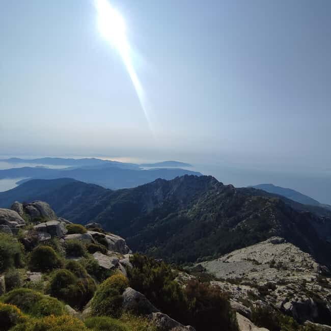 E bike Excursions and Lunch in Monte Capanne - Is This Tour for You?