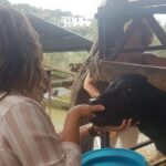 E-Bike Food and Wine Tour in the Sorrento Peninsula - Beyond the Ride: Why It’s Worth It