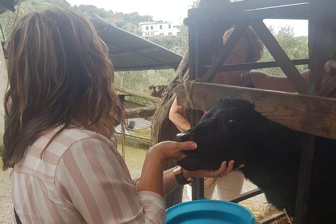 E-Bike Food and Wine Tour in the Sorrento Peninsula - Beyond the Ride: Why It’s Worth It