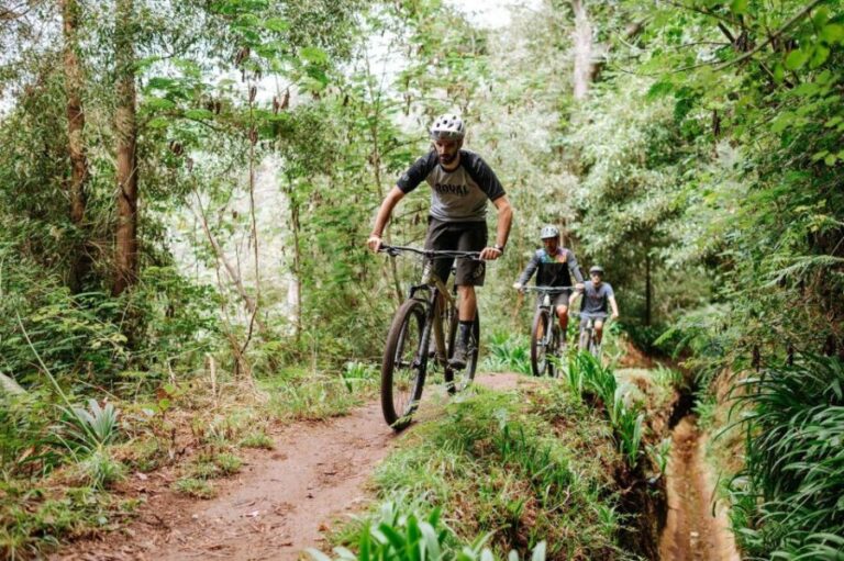 E-Bike Guided Tour - Belle Vue Mountain Biking - Practical Details and What to Expect