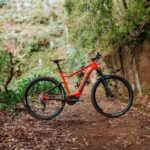 E-Bike Guided Tour - Mountain biking experience - Authentic Experiences and Notable Highlights