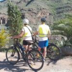 E-Bike Mountain Tour in Natural Park +Option Tapas in a Cave - Reaching the Highest Peak: Panoramic Views and Local Culture