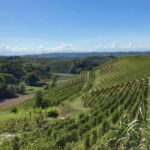 E-Bike Rental in Roero - Routes Designed for Every Explorer