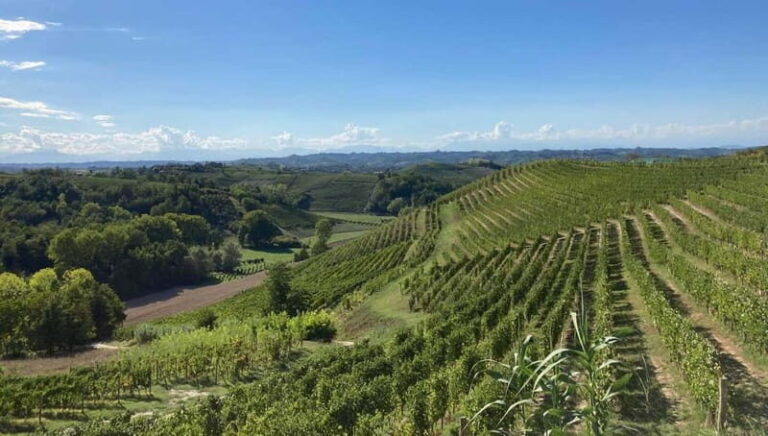 E-Bike Rental in Roero - Routes Designed for Every Explorer