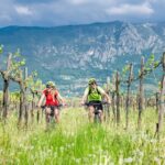 E-Bike Rental in South-West Slovenia - The Sum Up