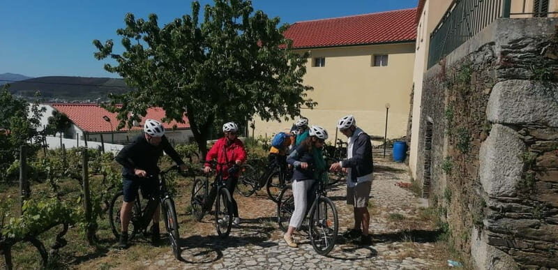 e-Bike Through Douro Valley Wine Region for Half Day Tour - The Perfect Itinerary