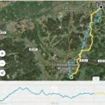 E-bike to Conimbriga Roman Ruins, from Coimbra - The Value for Money