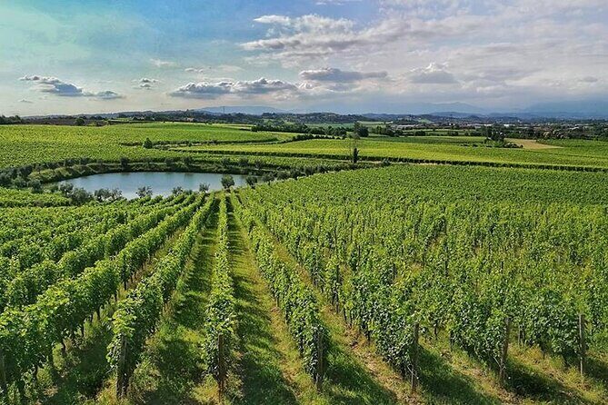 E-Bike tour and Wine tasting from Desenzano Inland - What the Price Gets You