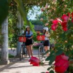 E-bike Tour by ComhiC - Tête d'Or Park - 2h - The Experience: A Detailed Breakdown