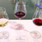 E-Bike Tour: Explore the Chianti, its Enogastronomy and Castles - Who Would Love This Tour?