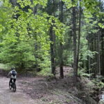E-BIKE TOUR & Flavours at Fausior Mount - Who Is This Tour Best For?