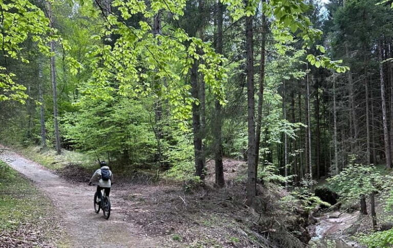 E-BIKE TOUR & Flavours at Fausior Mount - Who Is This Tour Best For?