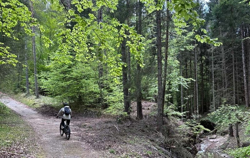 E-BIKE TOUR & Flavours at Fausior Mount - Who Is This Tour Best For?